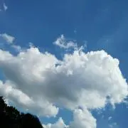 Snowyy♠プロフ必読の画像