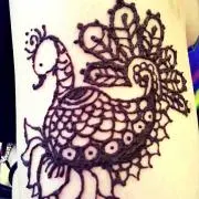 みぃの画像