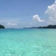 ぱるる