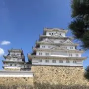 ごっつの画像