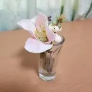 mocomaの画像