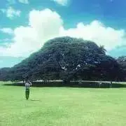 ひちゃん