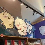 ❀白鳥愛羅❀の画像