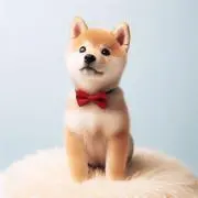 shushushuの画像
