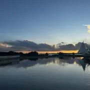 はるの画像