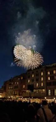 ゼルビアファンの画像