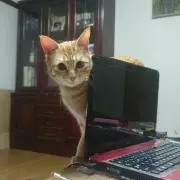 Hideの画像