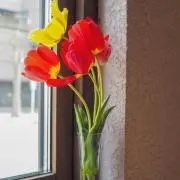 ましろ※値下交渉はコメントでお願いしますの画像