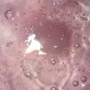 音の画像