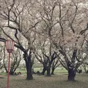 はな