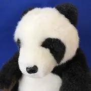 博ちゃん　★プロフ確認★の画像
