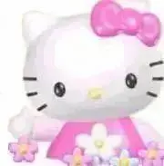♡ねこつつみ♡