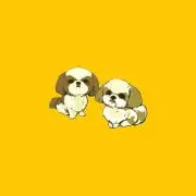 Cookie & Creamo