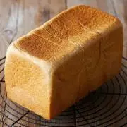 やまぶきの画像