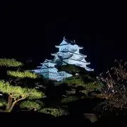 ファイブの画像