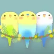 mamプロフ確認要の画像