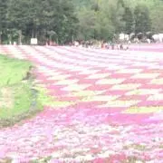 こみ