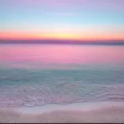 0711の画像