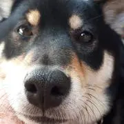 つーの