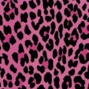 ♡の画像