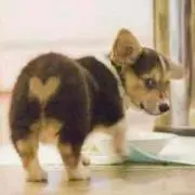 あさみん