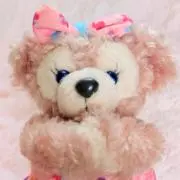 みゆの画像