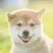 きなこの画像