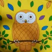 pikoko