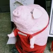 graceの画像