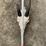 釣り人