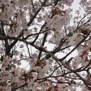 ☆空☆の画像
