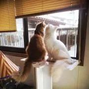 ✩marumaru✩の画像