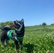 ときこの画像