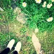 saraの画像