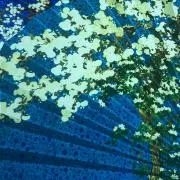 ちゃちゃの画像