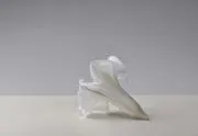 Kikiの画像