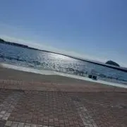 せんの画像