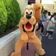 h❁の画像
