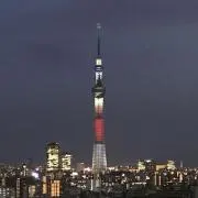 ゆうくんの画像