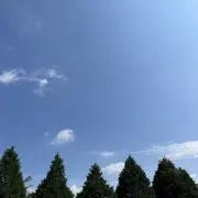 タジテル
