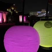 ぱなか／6月27〜29発送不可の画像