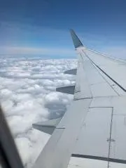 まなまるの画像