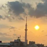 M( ¨̮ )︎︎❤︎︎