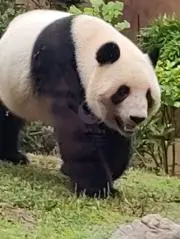 まるの画像
