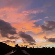 こぶの画像