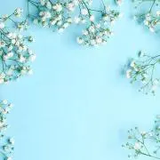 saku9149の画像