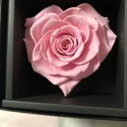 アルト在庫確認してから購入して下さいの画像