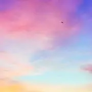 ぴーこの画像
