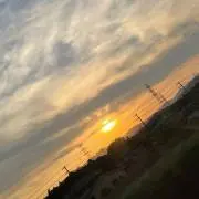 くろまつの画像