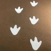 水無月の画像